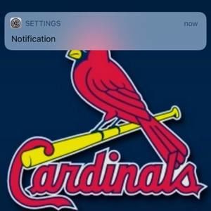 Meet your Posher, Jim